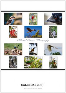 Australian Native Birds Calendar Front Promo